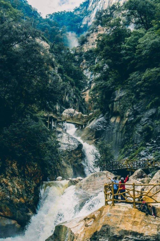 做馒头发面能放菜油吗？游戏画面
