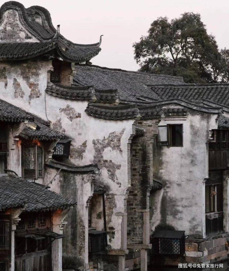 金钱桔煮冰糖的做法游戏画面